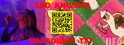 стафф Камень-на-Оби